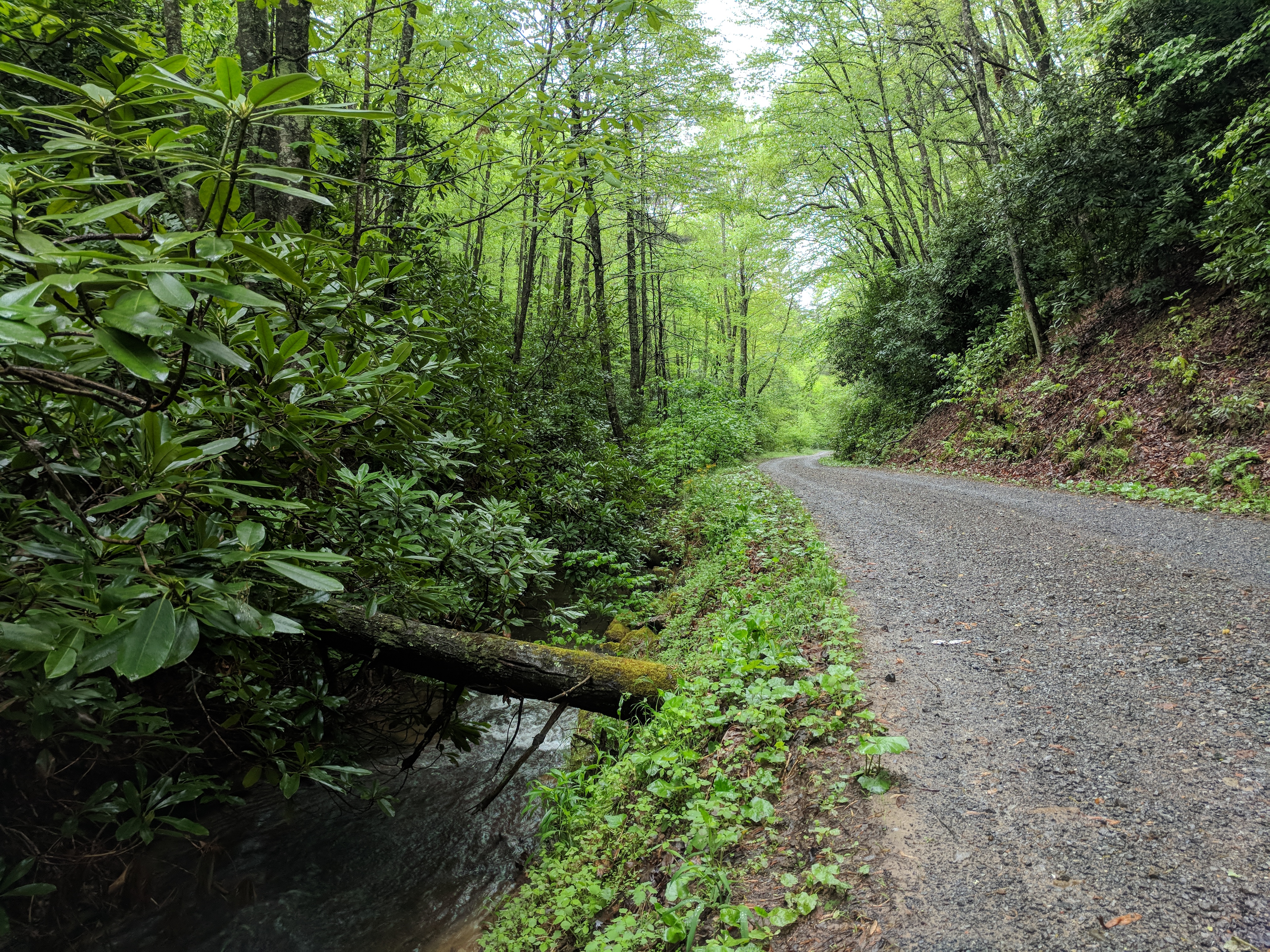 Regional work photo 01