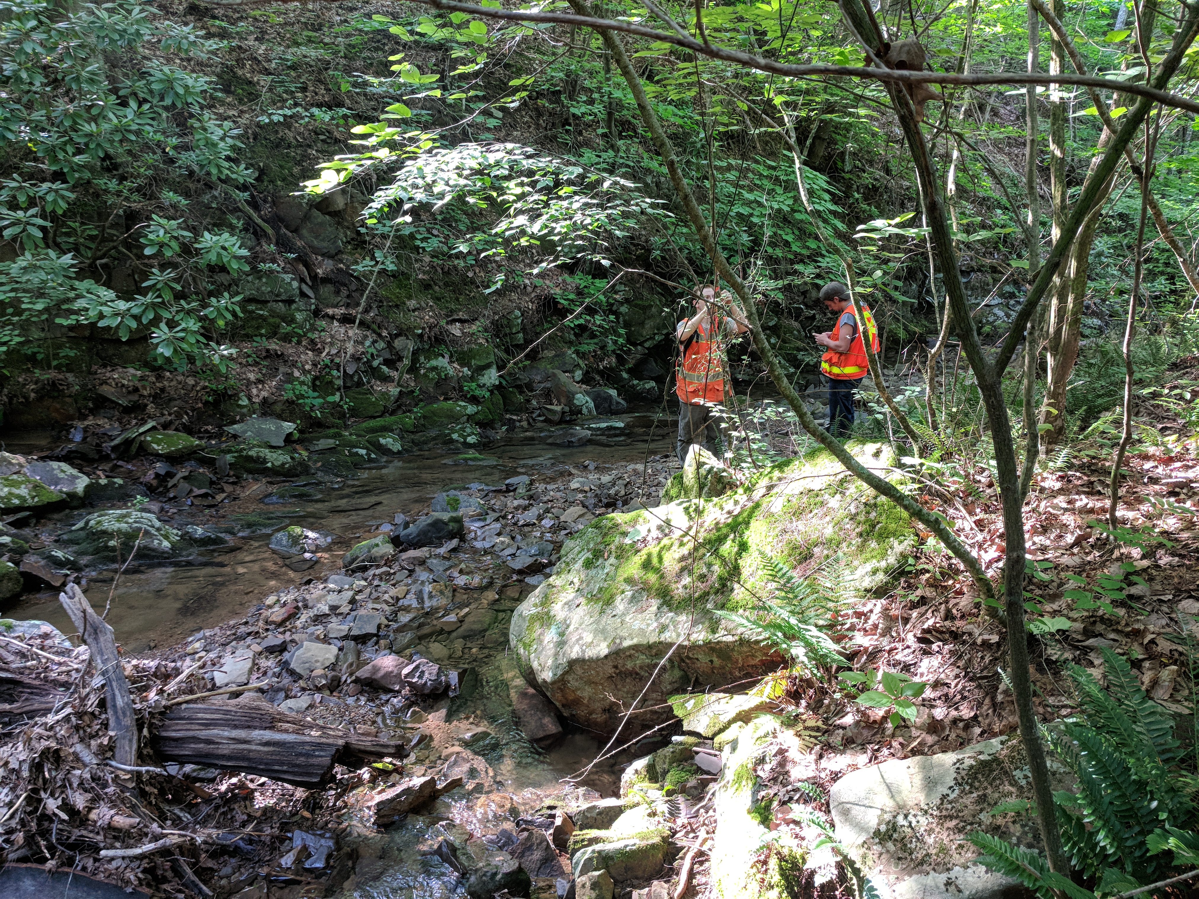 Regional work photo 02